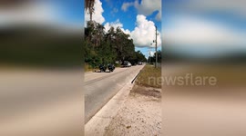 US: Generosity Delivers Christmas Magic: 250 Bicycles Gifted to Marion County Children