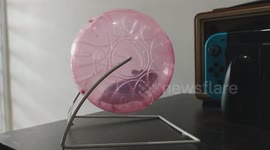 Adorable hamster riding on wheel ball exercising