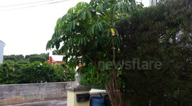 Tropical Storm Gabrielle hits Bermuda (1pm 09/10/13)