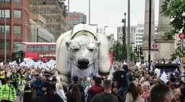 Aurora The Polar Bear