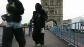 The Great Gorilla Run
