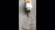 temp