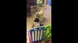 Little Bella thinks she's a dog