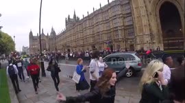 Anti leave the EU protestors cause chaos in westminster