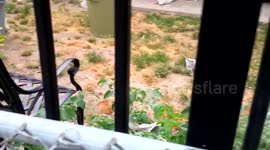 Debris in woman's backyard after house explosion in Canada