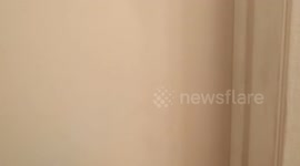 Cold water + hot shower