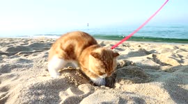 [Molly] The First Vacation