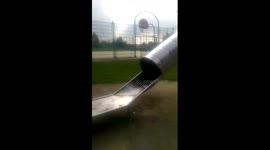 Dog can't walk past a slide 'without going down it'