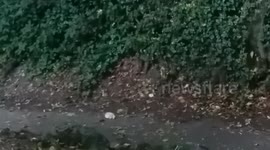 Strange activity part 2