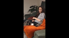 Cat and dog interaction causes playful chaos in Iran