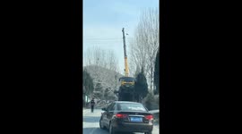 Crane overturns after losing balance during tree-lifting operation in Henan, China