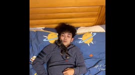 From Kitten to Colossus: Watch a Maine Cat Grow to Half a Human's Height