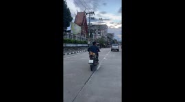 Two tabby cats ride together on the back of motorcycle