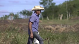 Cuba: US economic blockade takes heavy toll on food security in Cuba