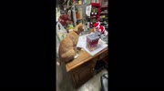 temp