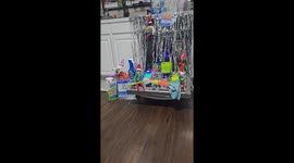 Santa's Elves Working At The Carwash