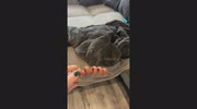 temp
