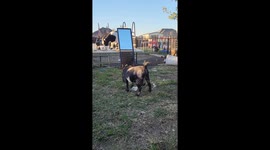 checking out the mirror