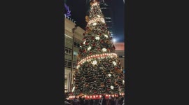 The tallest Christmas tree replica in Malaysia standing at 32m in height and 14m in width. Certified by the Malaysia Book Of Records