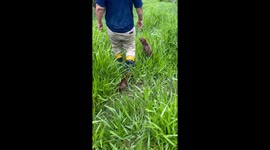 'My dad is the real life Snow White who built a fairytale farm where animals thrive'