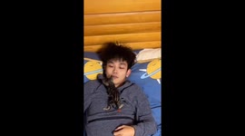 Maine Coon cat's rapid growth shown in series of videos