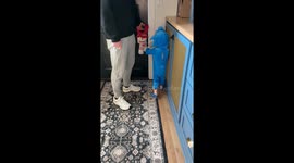 When you’re 3, Sonic is life 