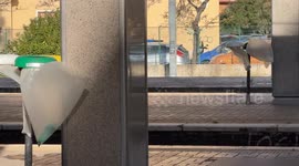 Strong winds move garbage bags at one of the metro stations on a freezing Christmas Eve day in December in Rome.