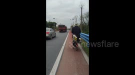 China: Two Dogs Sit on the Backseat of a Bicycle