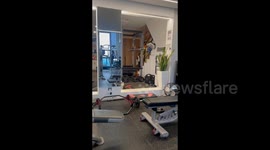 China: Brutal Little Cat