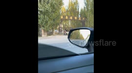 China: A Woman Could Not Stop Sheep Eat Her Leek