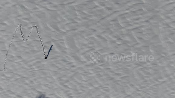 Man Writes Merry Christmas In Snow
