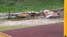 The destroyed bench where a 45-year-old woman died instantly after being hit by a tree that fell following a gust of wind last December 23 in a peripheral area of ​​Rome.
