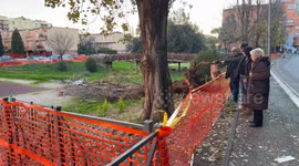 The park that was seized by the Rome Prosecutor's Office with a tree on the ground while some passers-by comment on the scene where last December 23 a 45-year-old mother lost her life after being hit by a tree that fell following a gust of wind in a perip