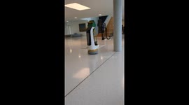 Hospital Guide Robot does a little dance to some music in Köthenwald, Germany.