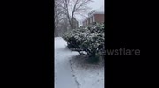 temp