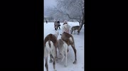 temp