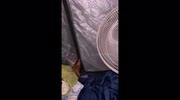 temp