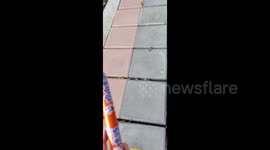 China: A Cat Attracted by The Sausage