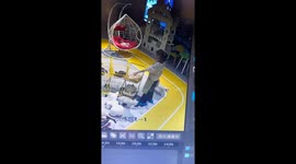 Ragdoll cat surprises Chinese staff with affectionate jump