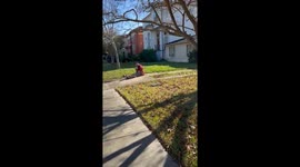 Aftermath of small foster puppy getting away from me and being recaptured