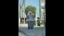 Dr. Simi Mascot Plays With Stray Dog