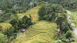 drone footage of a village in sabah malaysia