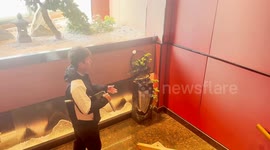 Nunchuck Ping Pong: Chinese man's unbelievable skills captivate the internet