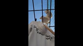 Car helps remove clothes from drying rack in Leon, Guanajuato, Mexico