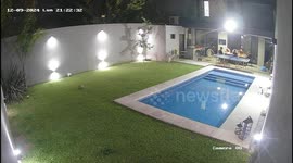 Cat pushes another into pool in El Palomar, Argentina