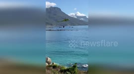 South Africa: Chopper Heroics Amid Table Mountain Blaze