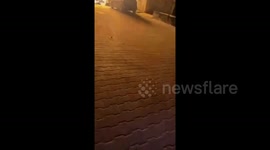 Gaza: The first moment a clearly marked press vehicle in central Gaza was targeted by Israeli forces, killing five Palestinian journalists from Al-Quds Today television channel while they were asleep inside