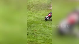Golfer in stand-off with cheeky magpie which claimed his ball