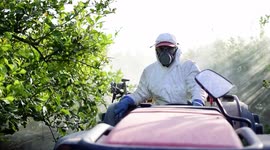 Spray ecological pesticide, pest, pesticides. Farmer fumigate in protective suit and mask lemon trees. Man spraying toxic pesticides, pesticide, insecticides