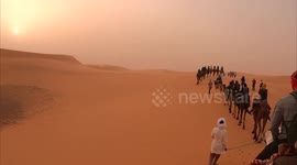 group of tourist on camels in a row walking through desert